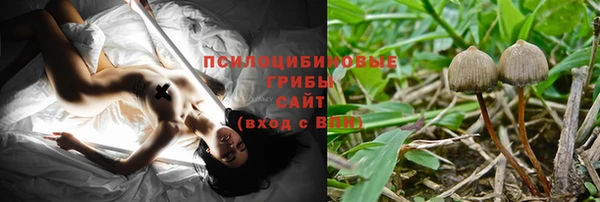 ГАЛЛЮЦИНОГЕННЫЕ ГРИБЫ Армянск